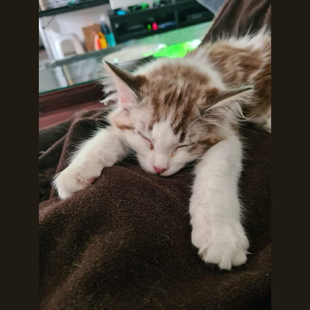 Photo of Lucas