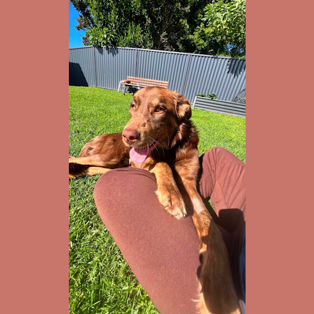 Photo of Charlie