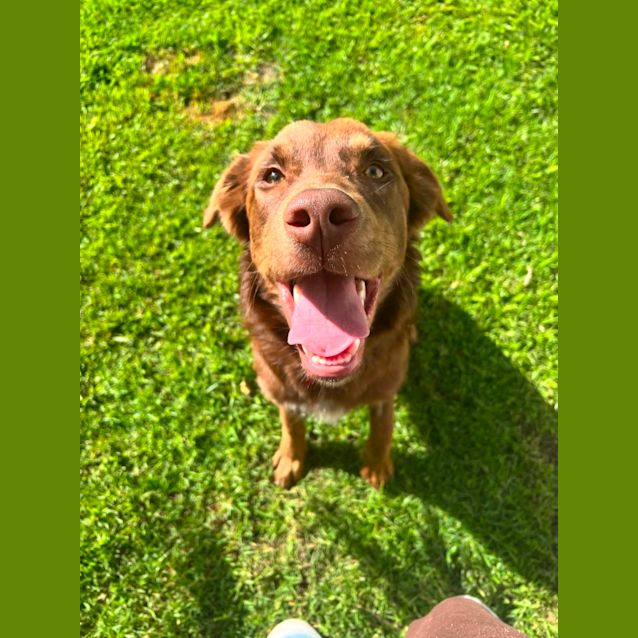 Photo of Charlie