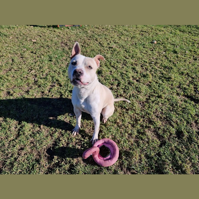 Photo of Callum Imp 535