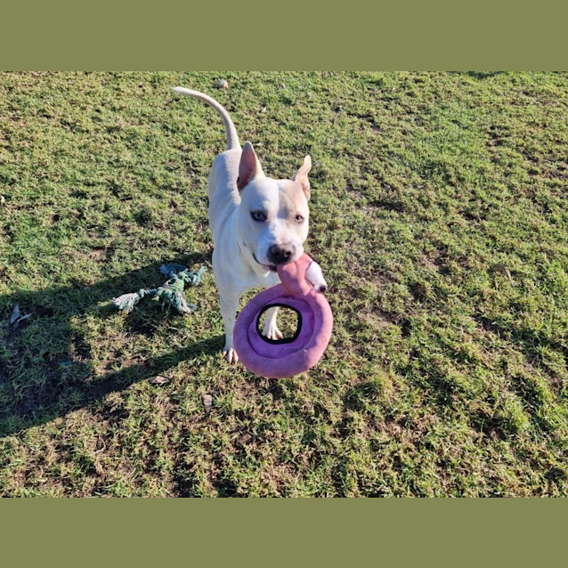 Photo of Callum Imp 535