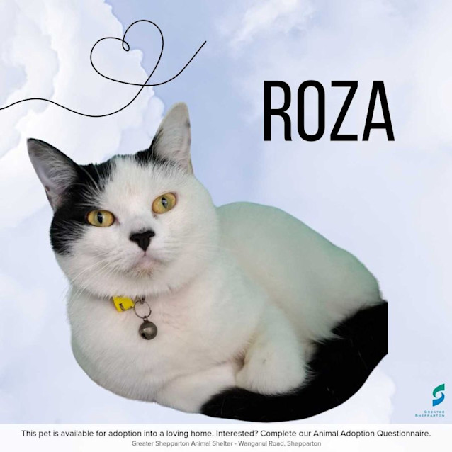 Photo of Roza