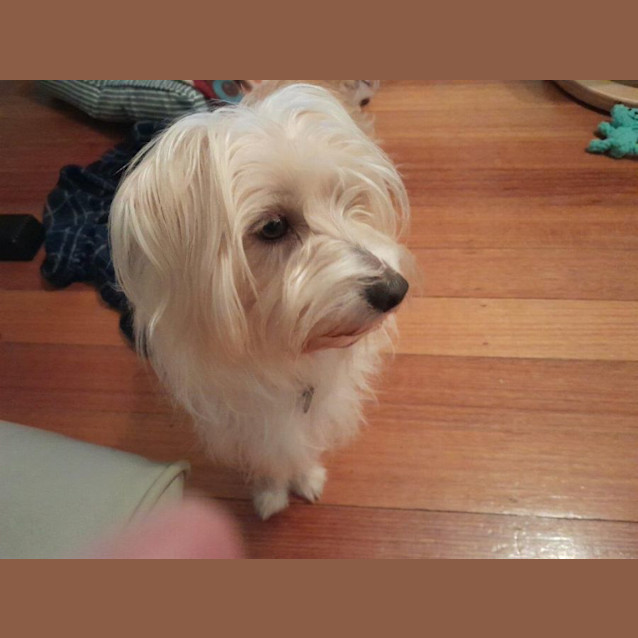 Photo of Jeremy Gainsborough