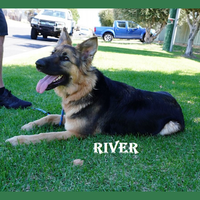Photo of River