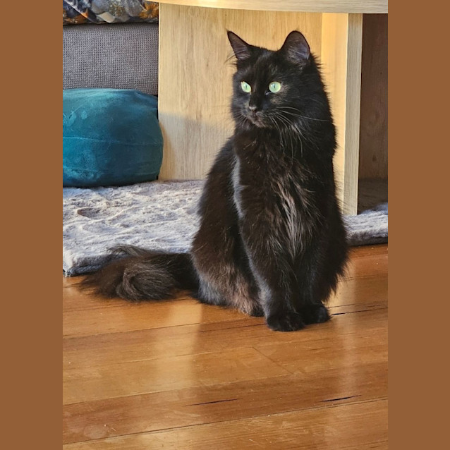 Photo of Poe