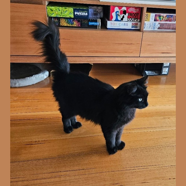 Photo of Poe