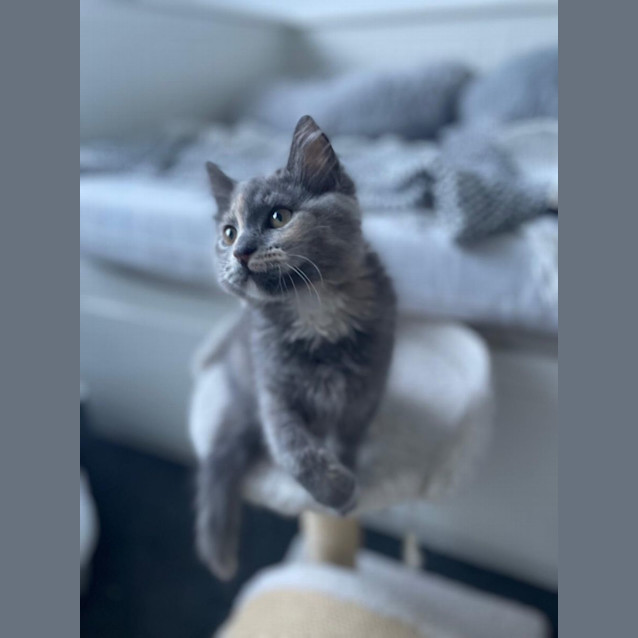 Photo of Marlo