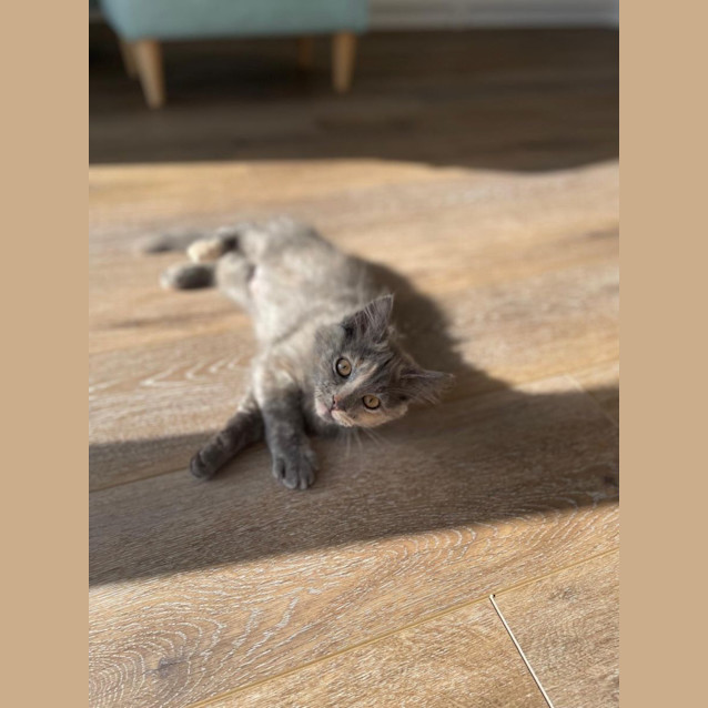 Photo of Marlo
