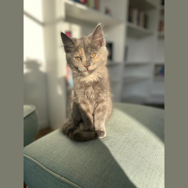 Photo of Marlo