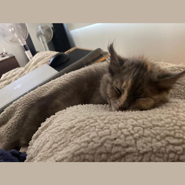 Photo of Marlo