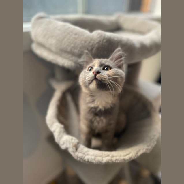 Photo of Marlo