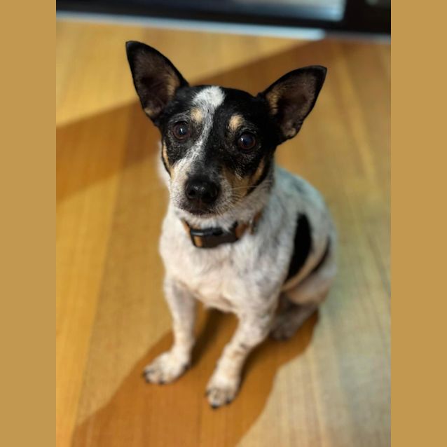 Photo of Jd 