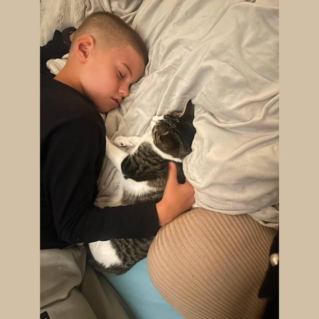 Photo of Cream Puff And Nell