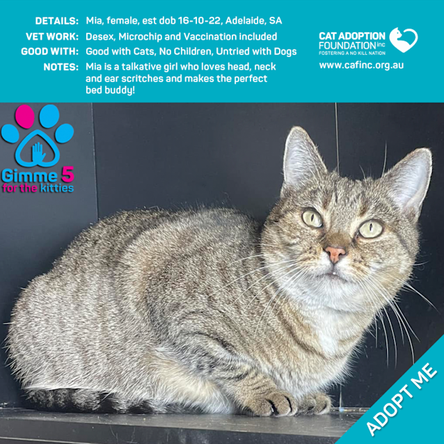 Photo of Mia Only $39 Limited Time!