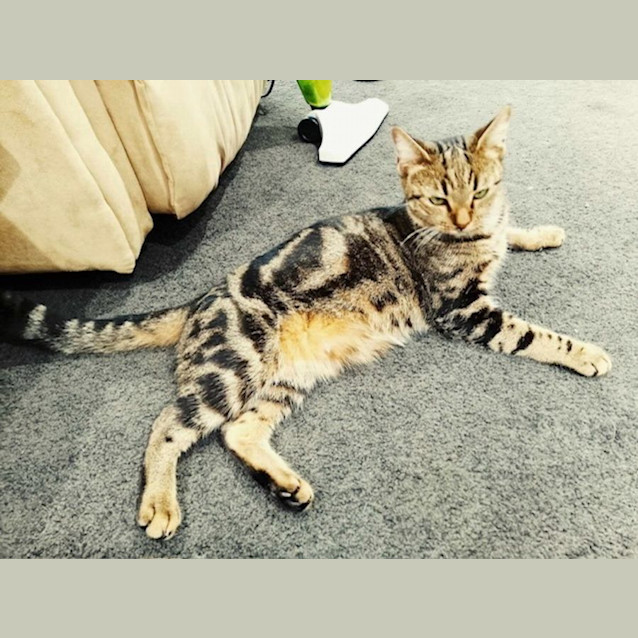 Photo of Emerald