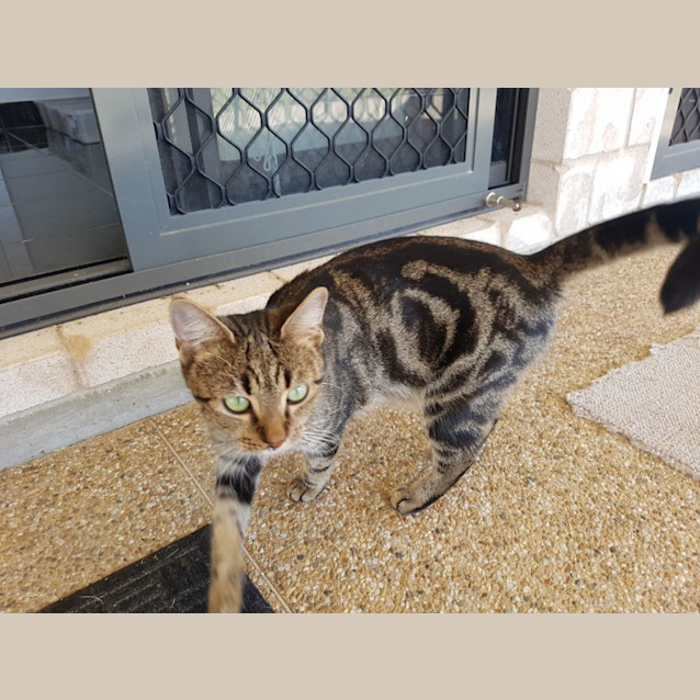 Photo of Emerald