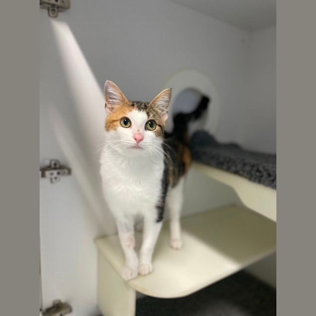 Photo of 🦩 Wren 5191 🦩