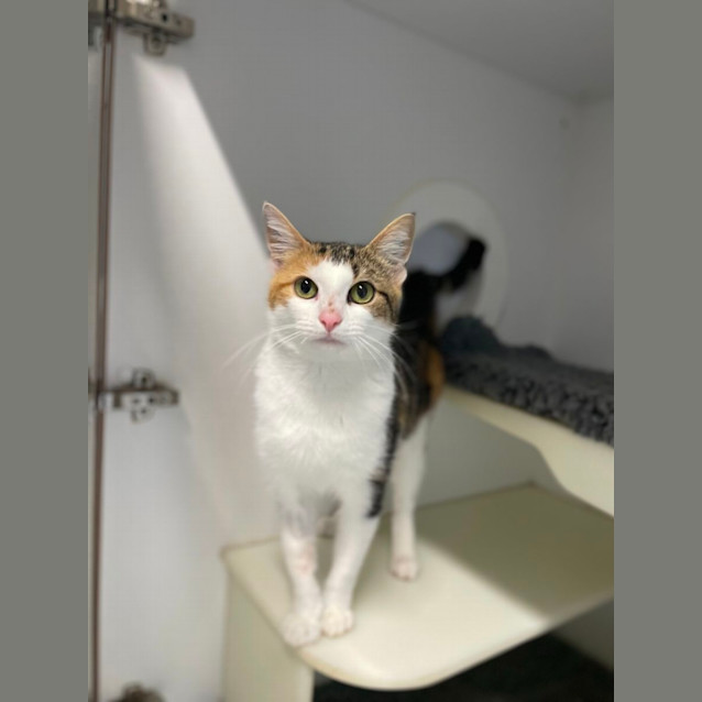 Photo of 🦩 Wren 5191 🦩