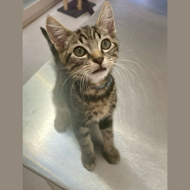 Photo of Donnie (6505)