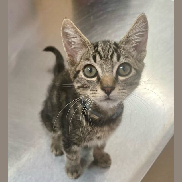 Photo of Donnie (6505)