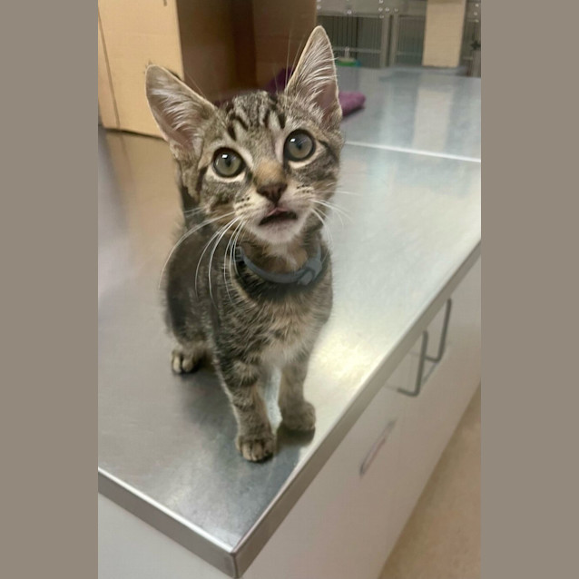 Photo of Donnie (6505)