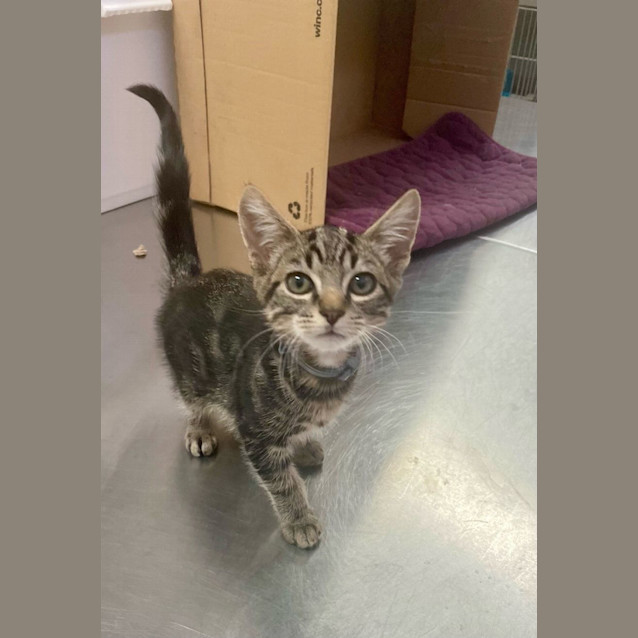 Photo of Donnie (6505)