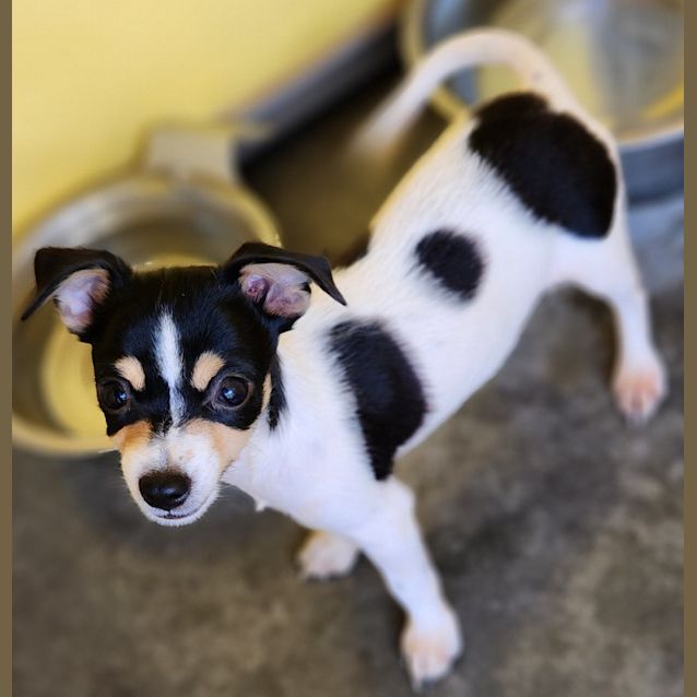 Photo of Hershey