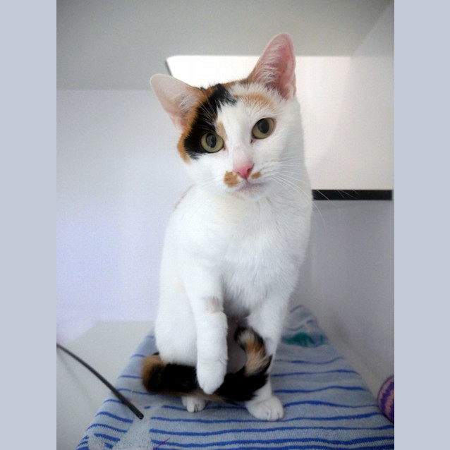 Photo of Alexandria Sta012670