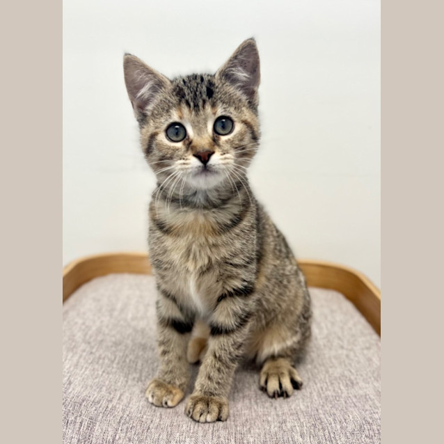 Photo of Cali