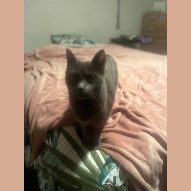 Photo of Roger And Maggie