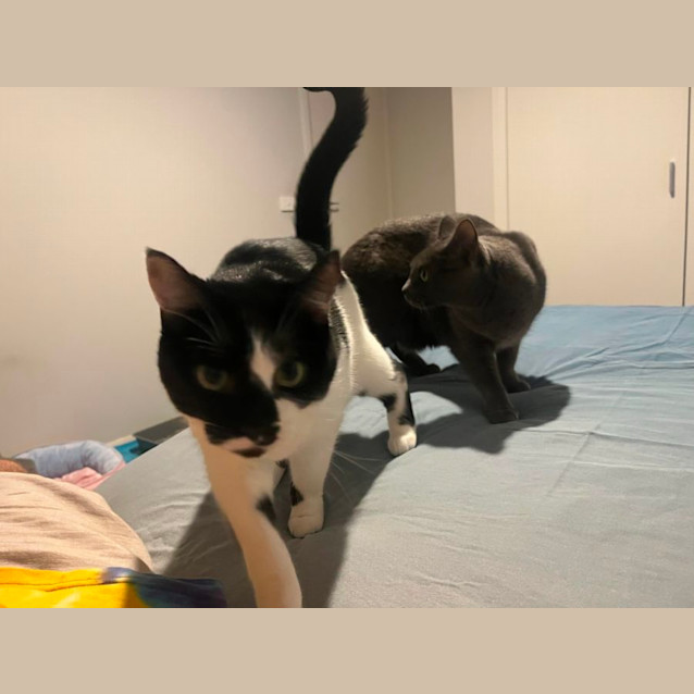 Photo of Roger And Maggie