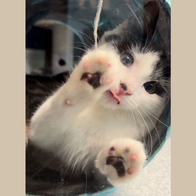 Photo of Andy