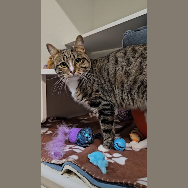 Photo of Odie