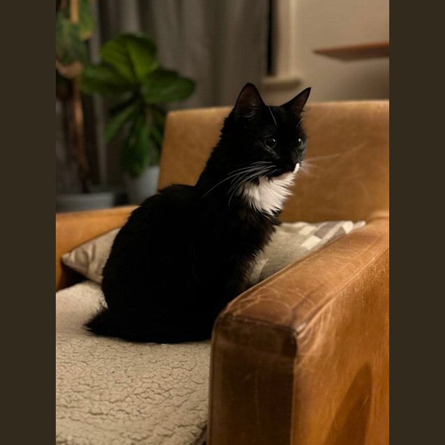 Photo of Chicken Wing