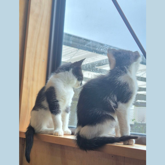 Photo of Cleo & Eden