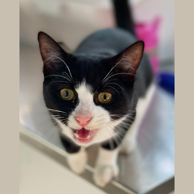 Photo of Jack (8060)