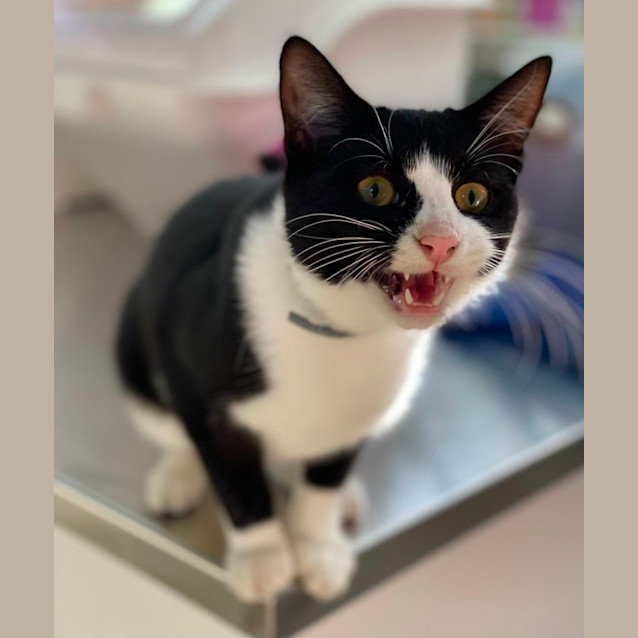 Photo of Jack (8060)