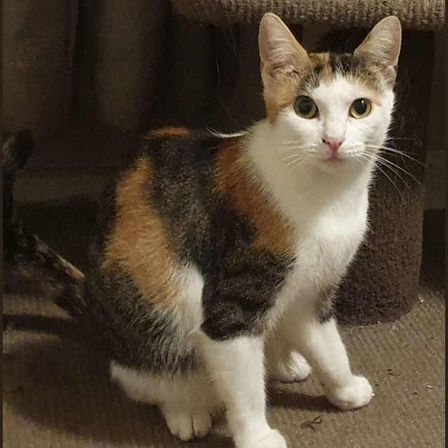 Photo of Princess