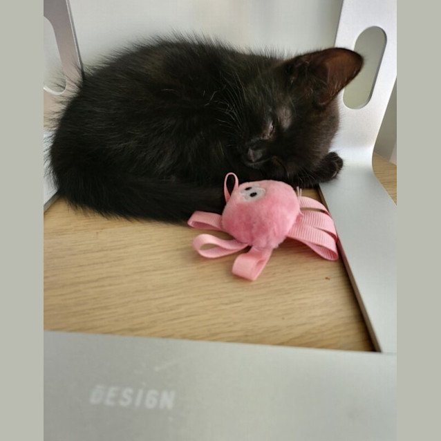 Photo of Mort