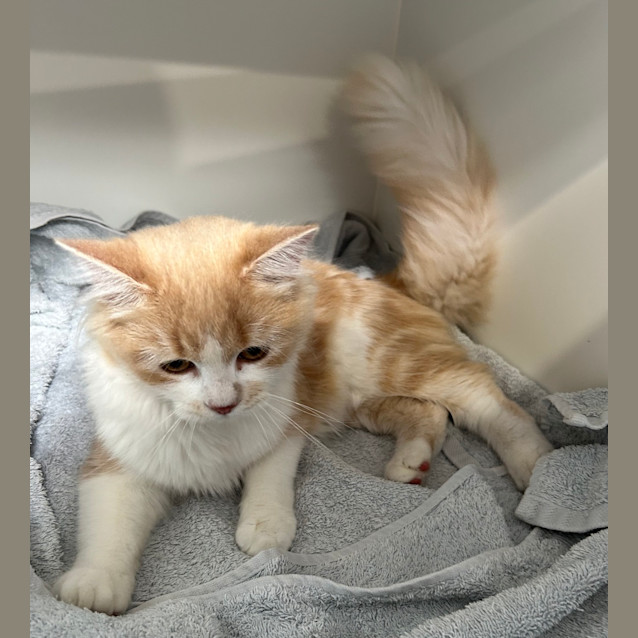 Photo of Hazel