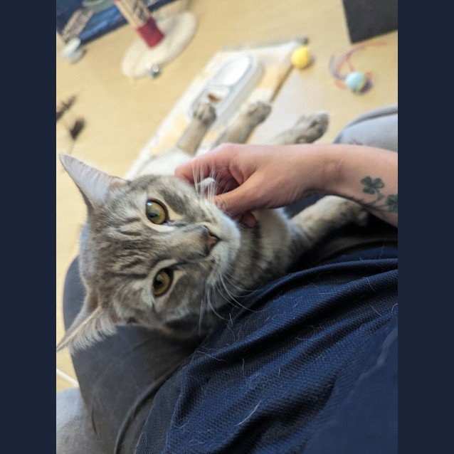Photo of Jinx