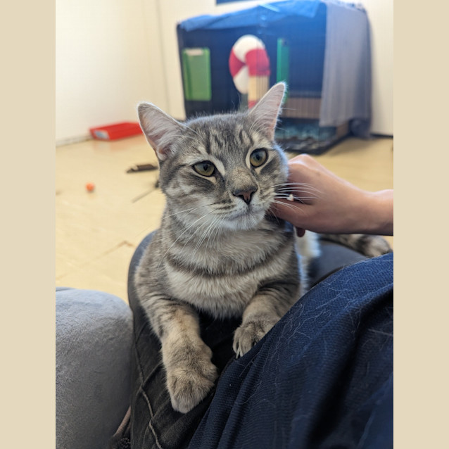 Photo of Jinx