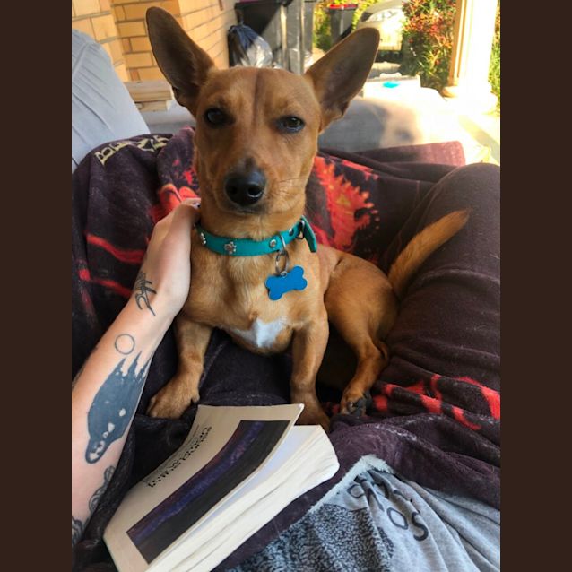 Photo of Tilly