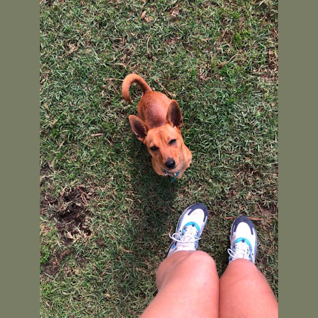 Photo of Tilly