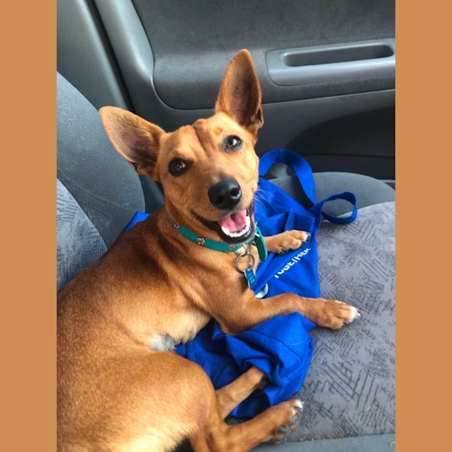 Photo of Tilly