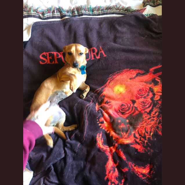 Photo of Tilly
