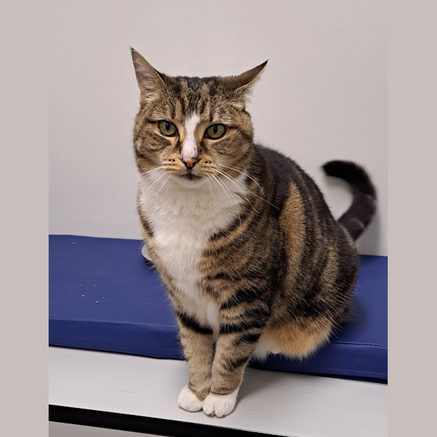 Photo of Bonnie