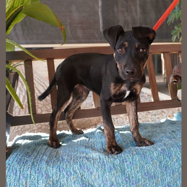 Photo of Elwood