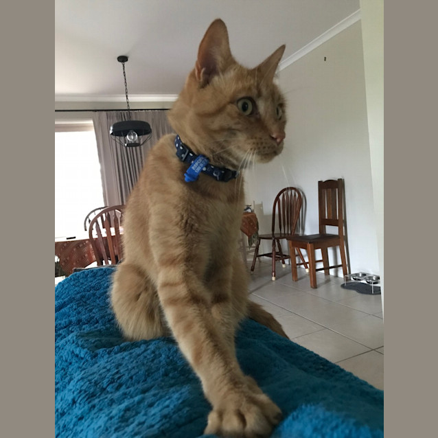 Photo of Smudge