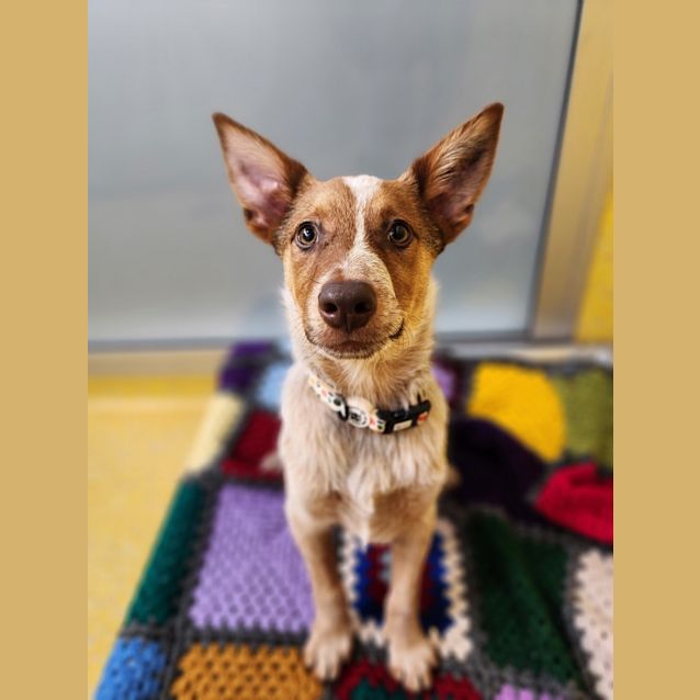 Photo of Sammy